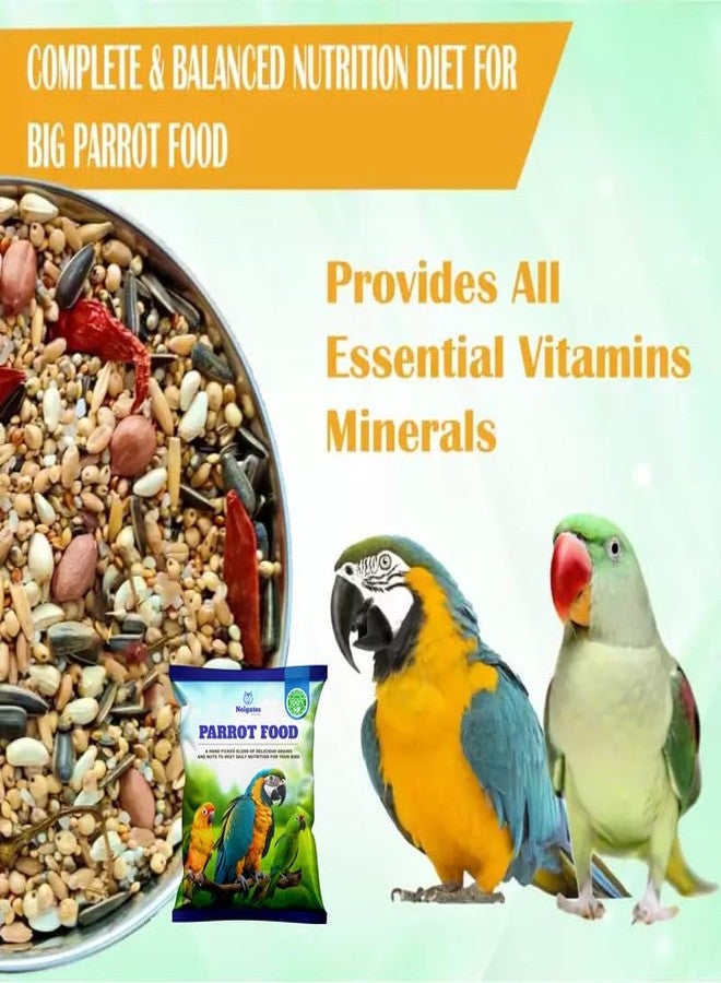 Nelgates Parrot Bird Food for Big Parrot African Grey Parrot,Sun Conure,Macaw,Lovebird and Alexander All Life Stages Mix Seeds 1kg - Image 4